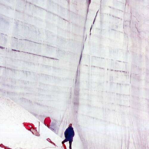 22-500x500